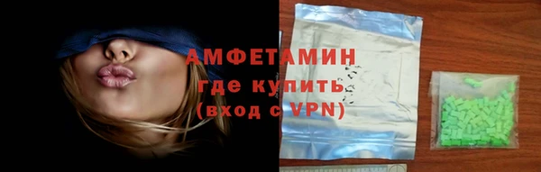 стаф Алзамай