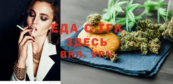 индика Алексин