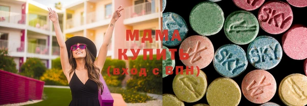 индика Алексин