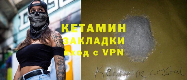 стаф Алзамай