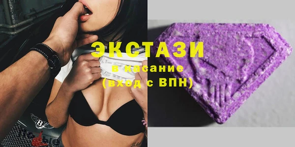стаф Алзамай