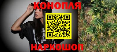 соль ск Кингисепп