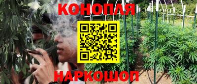 ПСИЛОЦИБИНОВЫЕ ГРИБЫ Кинель