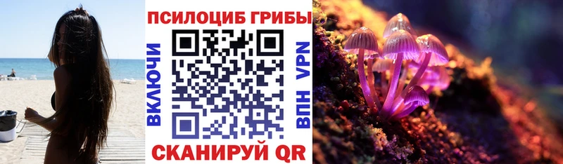 Псилоцибиновые грибы мухоморы  цены наркотик  мега рабочий сайт  Протвино 