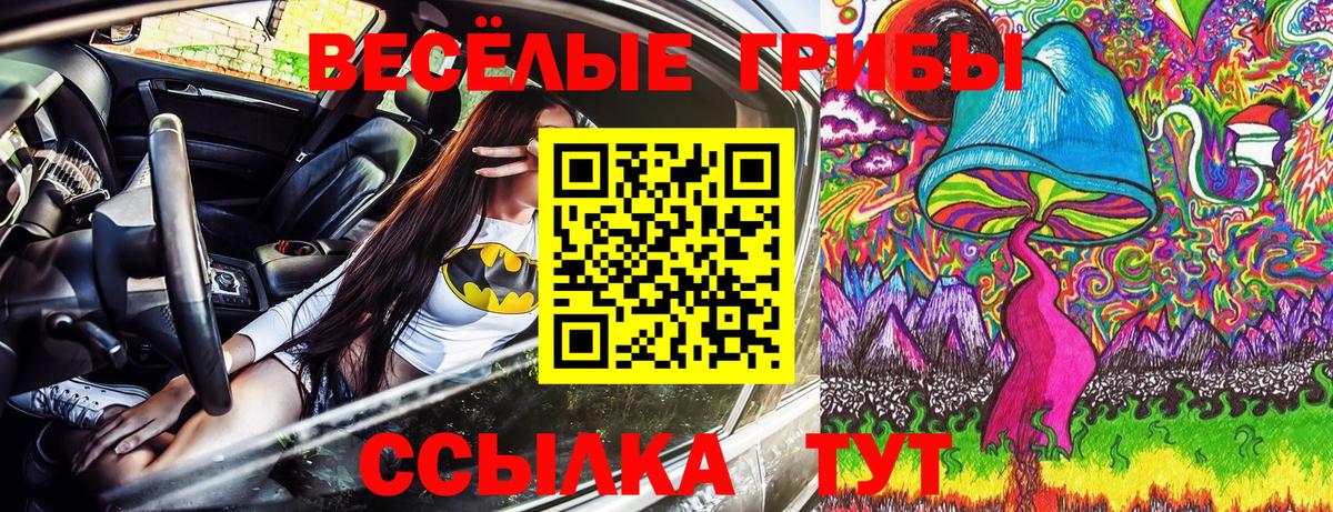 Галлюциногенные грибы Psilocybe Протвино